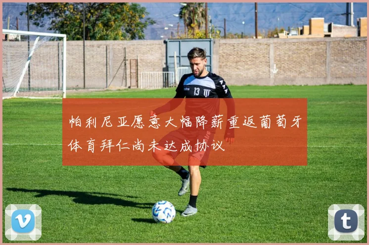 帕利尼亚愿意大幅降薪重返葡萄牙体育拜仁尚未达成协议