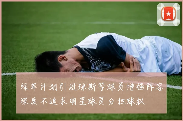 绿军计划引进琼斯等球员增强阵容深度不追求明星球员分担球权